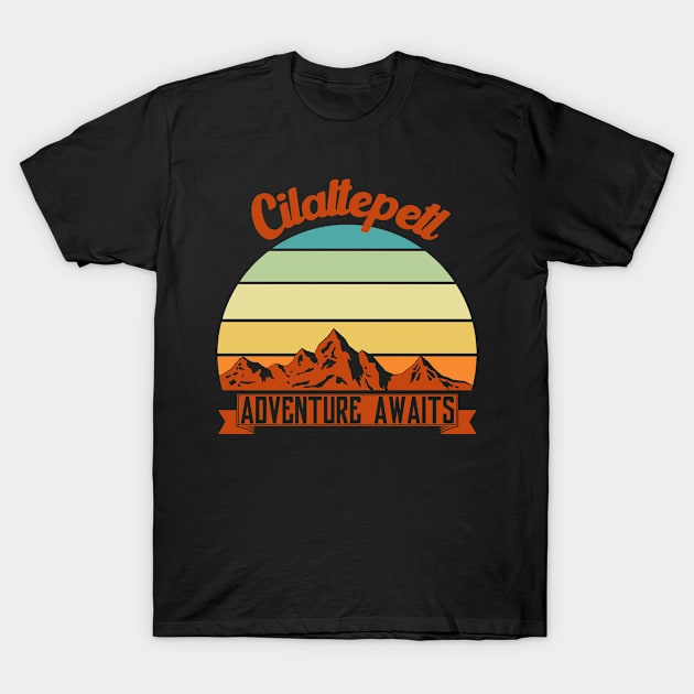 Cilaltepetl mountain climber. Perfect present for mother dad friend him or her T-Shirt by SerenityByAlex